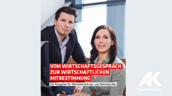 Broschüre: Vom Wirtschaftsgespräch zur wirtschaftlichen Mitbestimmung
